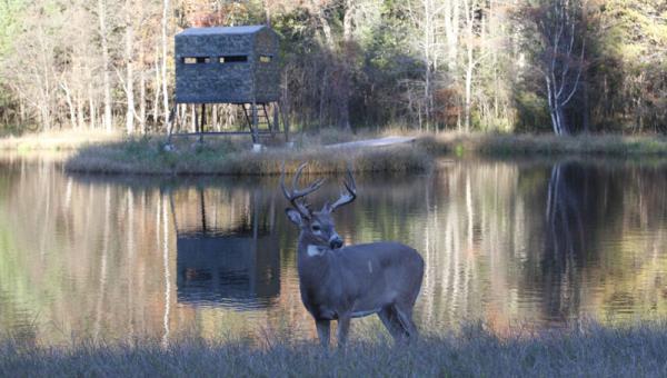 How to Build Deer Blinds Out of Wood - Learn how to