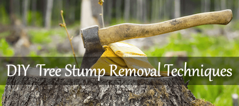 How to Remove a Tree Stump - Learn how to